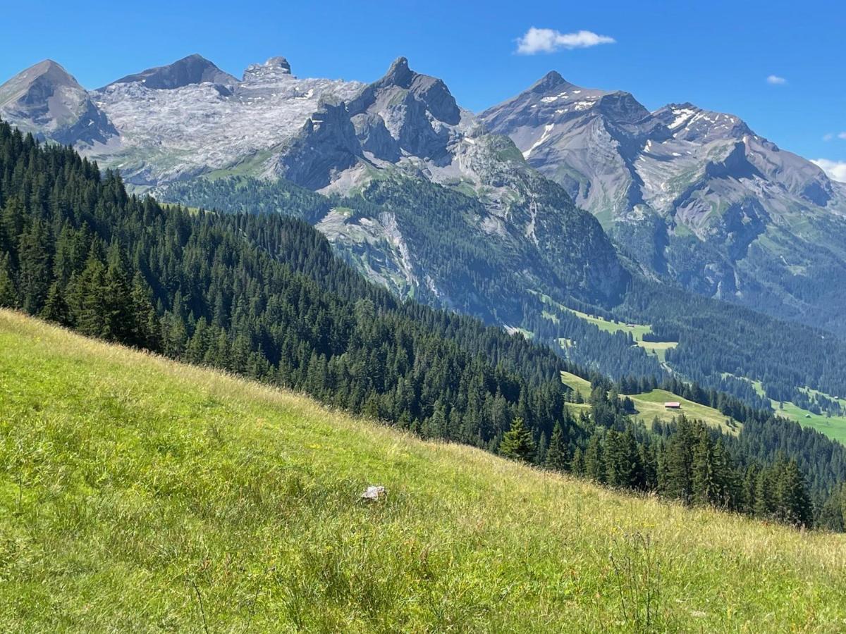 Gsteig Alpen Charme - Chalet D'Hotes Et Spa Bed & Breakfast エクステリア 写真